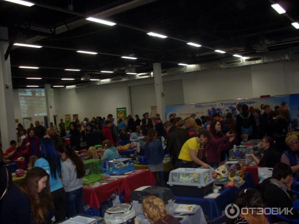 на выставке