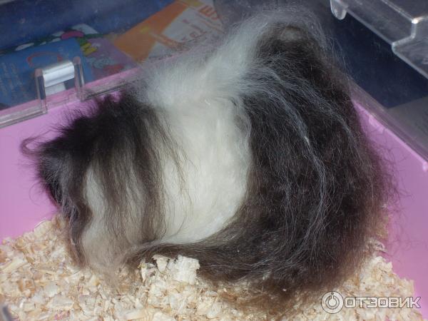 обитатели выставки