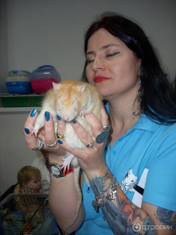 в нежных хозяйских руках