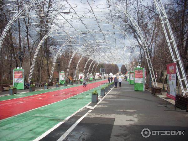 аллея парка