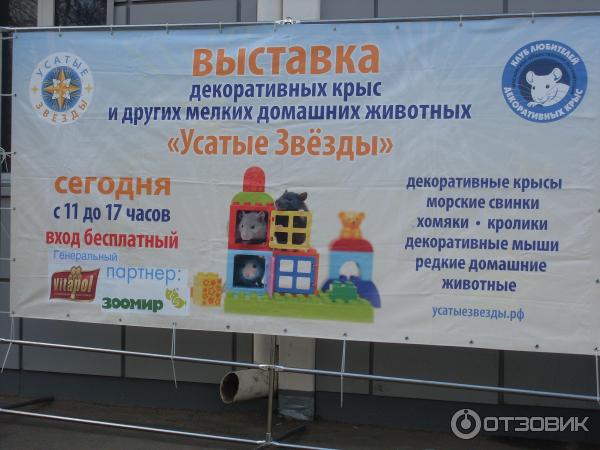 стенд выставки