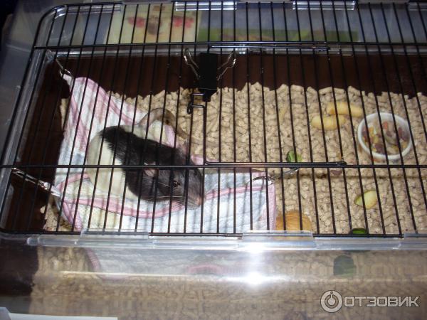 обитатели выставки