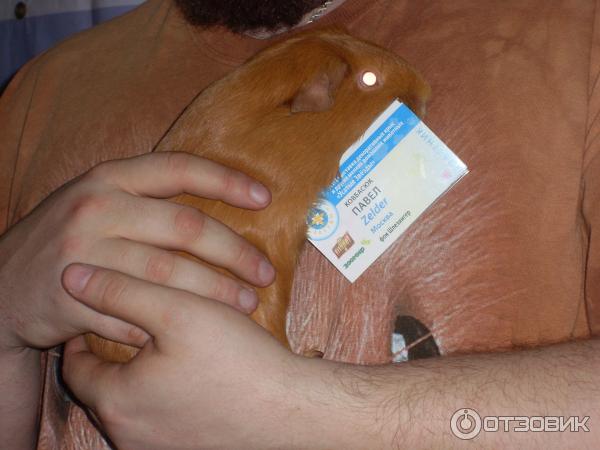 в нежных хозяйских руках