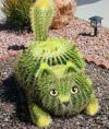 Cactuz