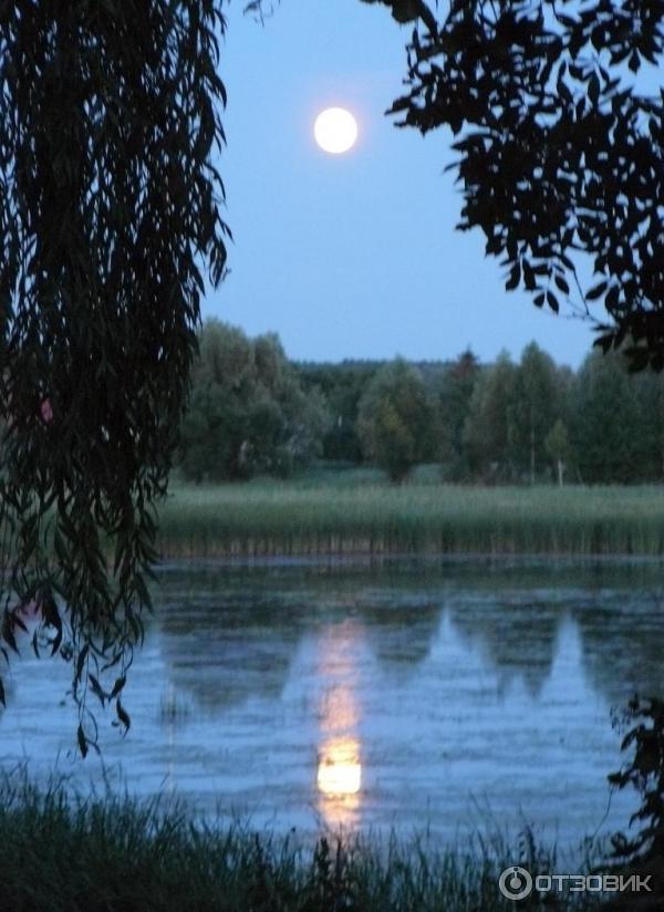 Цифровой фотоаппарат Panasonic Lumix DMC-FZ8