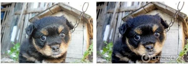 Цифровой фотоаппарат Panasonic Lumix DMC-FZ8