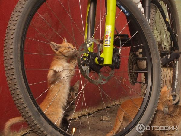 Дисковые гидравлические тормоза Shimano Deore XT M785 фото