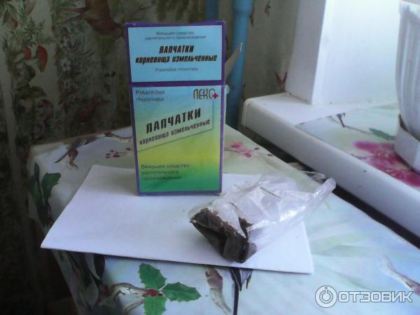 Лапчатка прямостоячая корневища Лекс+ фото