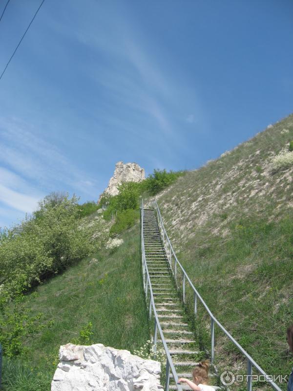 Заповедник Дивногорье (Россия, Воронежская область) фото
