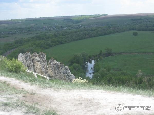 Заповедник Дивногорье (Россия, Воронежская область) фото