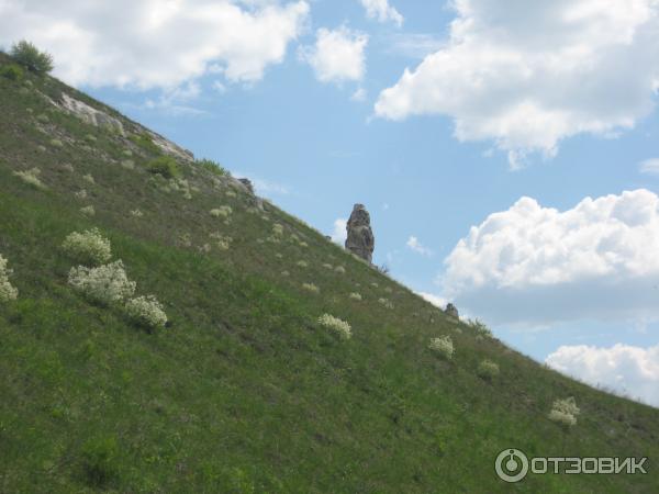 Заповедник Дивногорье (Россия, Воронежская область) фото