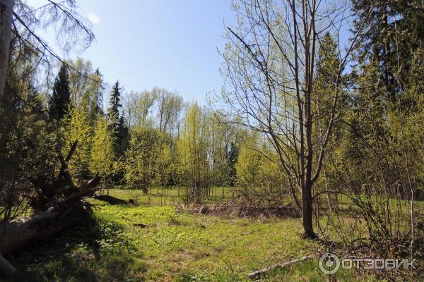 Музей усадьба Рождествено (Россия, Лениградская область)