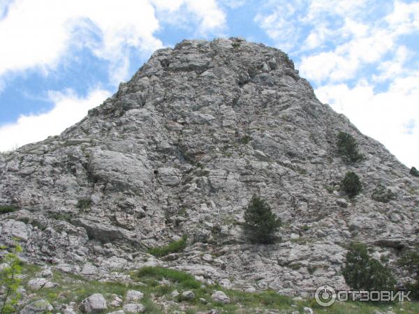 Ялтинский горно-лесной природный заповедник (Россия, Крым) фото