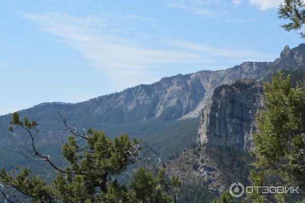 Ялтинский горно-лесной природный заповедник (Россия, Крым) фото