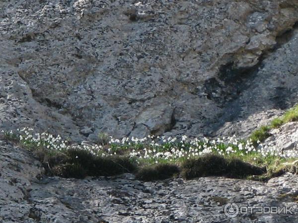 Ялтинский горно-лесной природный заповедник (Россия, Крым) фото