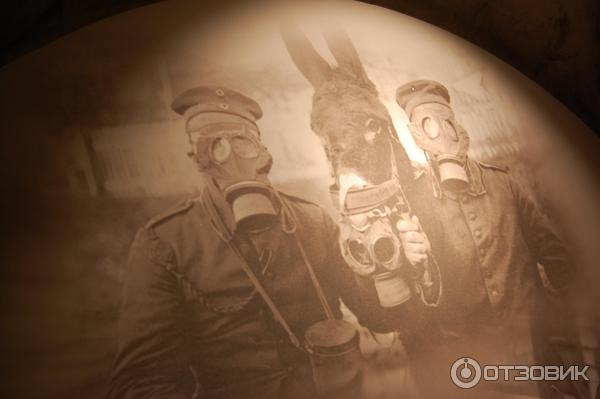 Государева Ратная палата в Царском Селе