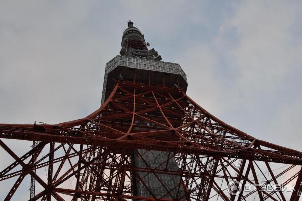 Токийская башня Tokyo Tower (Япония, Токио) фото