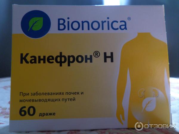 Лекарственное средство Bionorica Канефрон Н фото