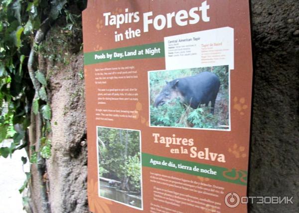 Зоопарк Los Angeles Zoo (США, Лос-Анджелес) фото