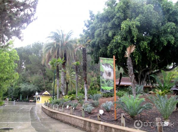 Зоопарк Los Angeles Zoo (США, Лос-Анджелес) фото