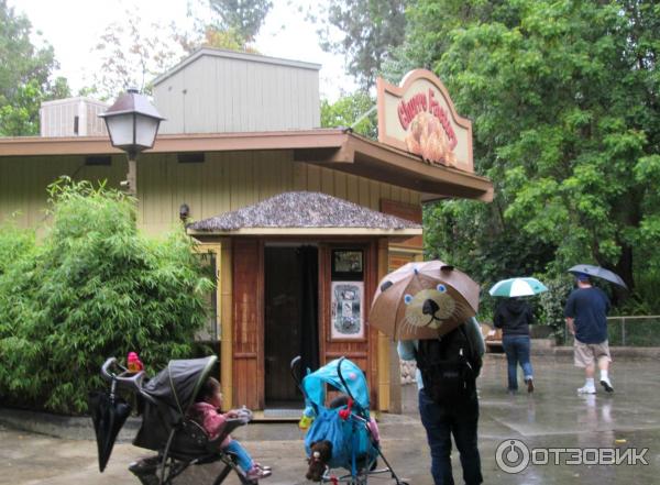 Зоопарк Los Angeles Zoo (США, Лос-Анджелес) фото