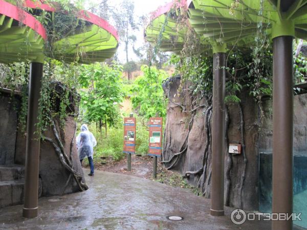 Зоопарк Los Angeles Zoo (США, Лос-Анджелес) фото