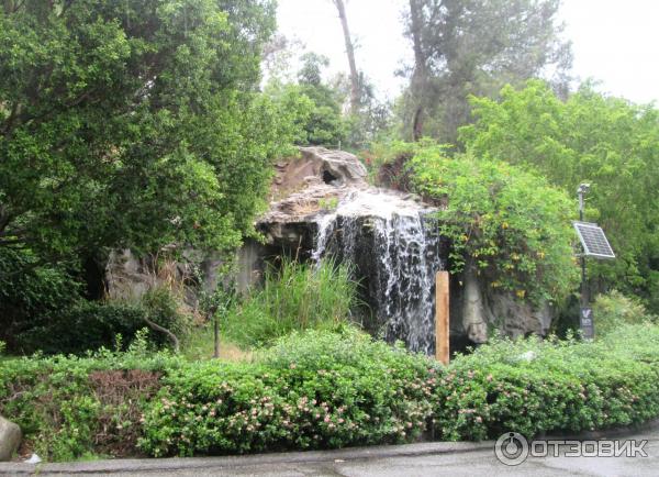 Зоопарк Los Angeles Zoo (США, Лос-Анджелес) фото