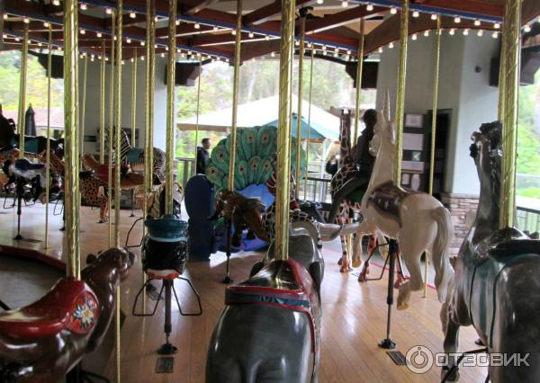 Зоопарк Los Angeles Zoo (США, Лос-Анджелес) фото