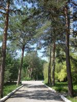 Военный санаторий "Волга" (Россия, Самара) фото