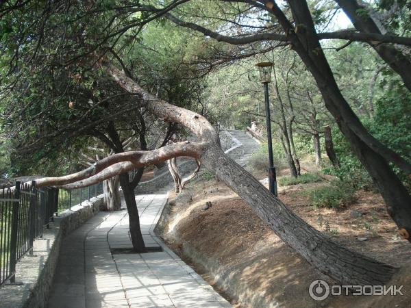 Санаторий Украина на курорте Гаспра (Россия, Крым) фото