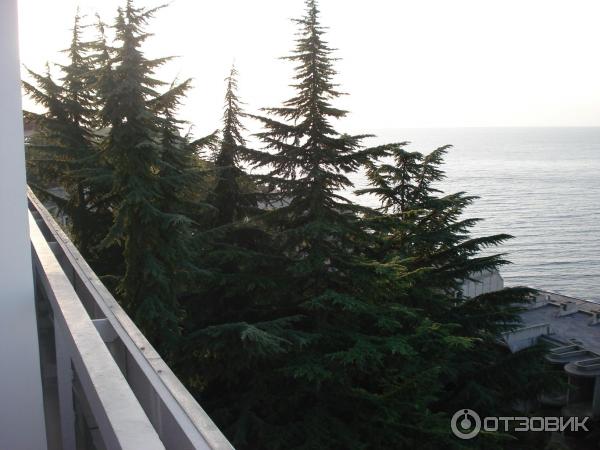 Санаторий Украина на курорте Гаспра (Россия, Крым) фото