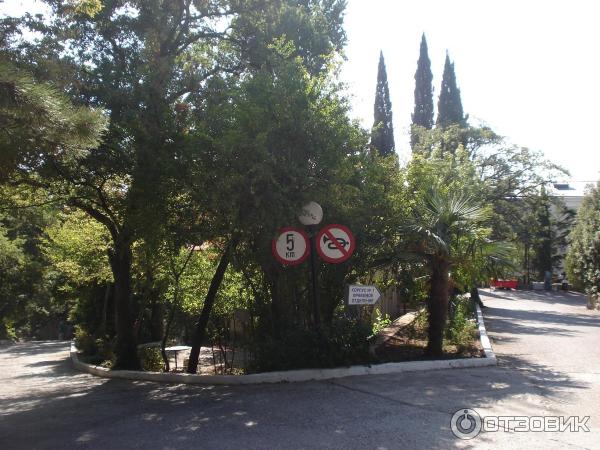 Санаторий Украина на курорте Гаспра (Россия, Крым) фото