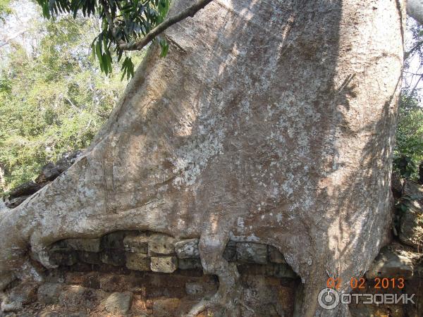 Храм Preah Khan. Камбоджа, Ангкор.