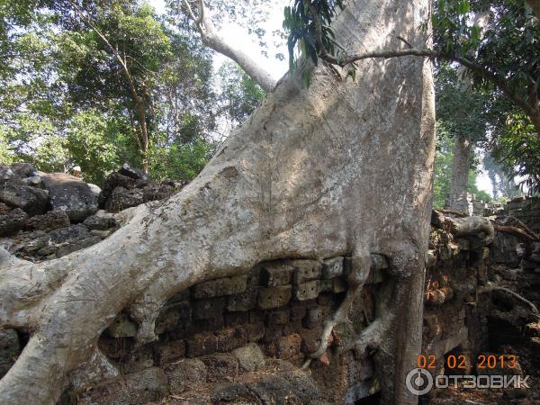 Храм Preah Khan. Камбоджа, Ангкор.