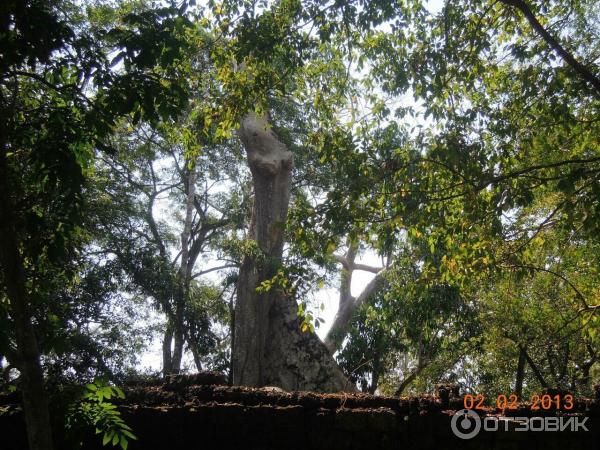 Храм Preah Khan. Камбоджа, Ангкор.