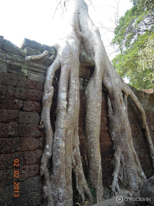 Храм Preah Khan. Камбоджа, Ангкор.