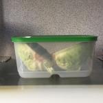 Контейнер Tupperware "Умный холодильник" фото
