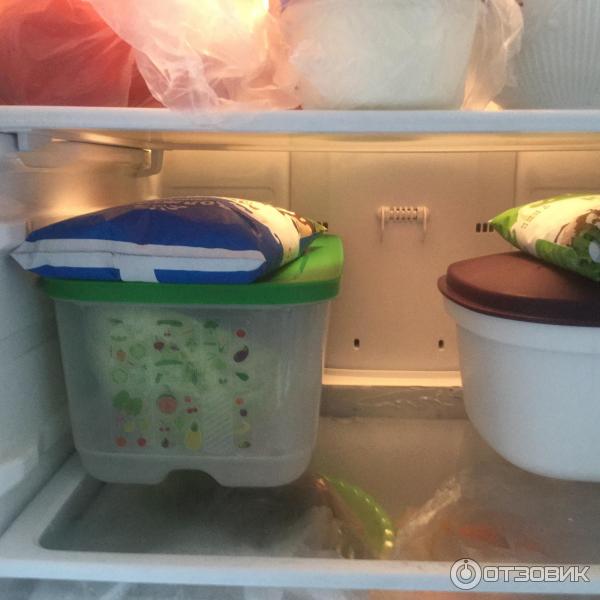 Контейнер Tupperware Умный холодильник фото
