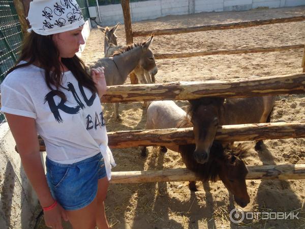 Дискавери-парк (Турция, Сиде) фото