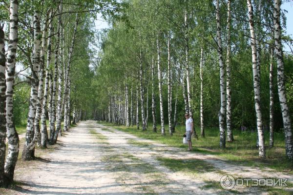 Озеро Светлояр (Россия, Нижегородская область) фото