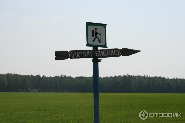 Озеро Светлояр (Россия, Нижегородская область) фото