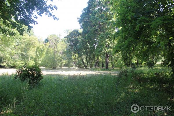 Ботанический сад (Россия, Самара) фото