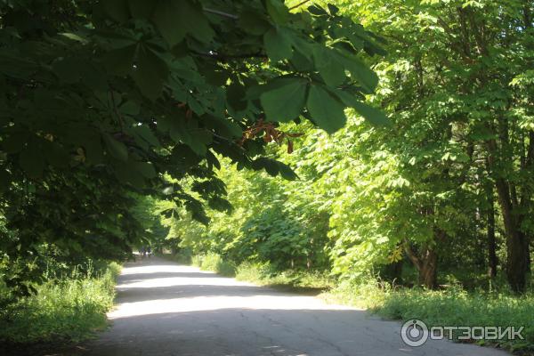 Ботанический сад (Россия, Самара) фото