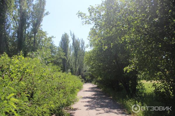 Ботанический сад (Россия, Самара) фото