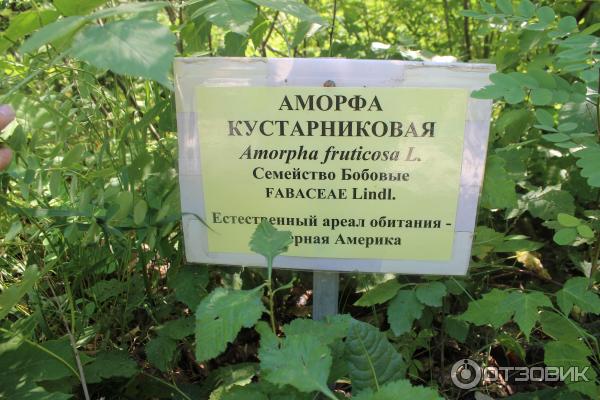 Ботанический сад (Россия, Самара) фото