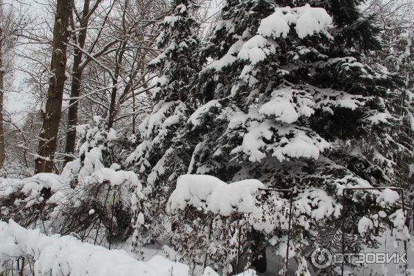 Ботанический сад (Россия, Самара) фото