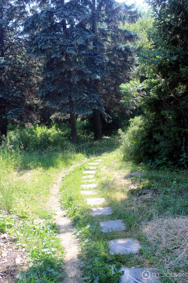 Ботанический сад (Россия, Самара) фото