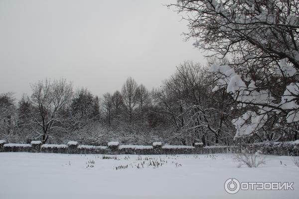 Ботанический сад (Россия, Самара) фото