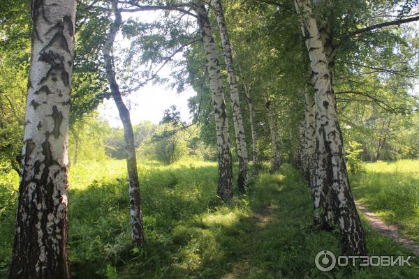 Ботанический сад (Россия, Самара) фото