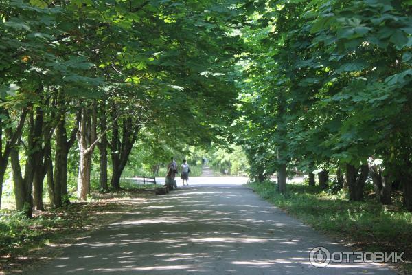 Ботанический сад (Россия, Самара) фото